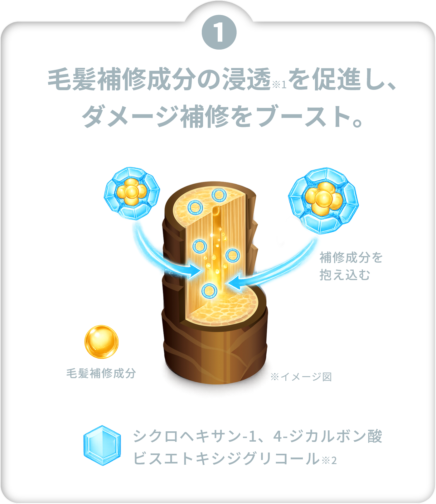 毛髪補修成分の浸透を促進し、ダメージ補修をブースト。
