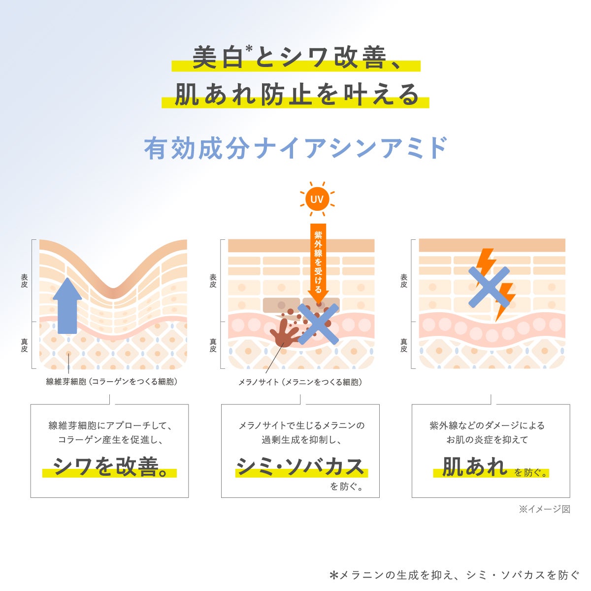 タイムシークレット ミネラル 薬用プライマーベース | msh公式サイト