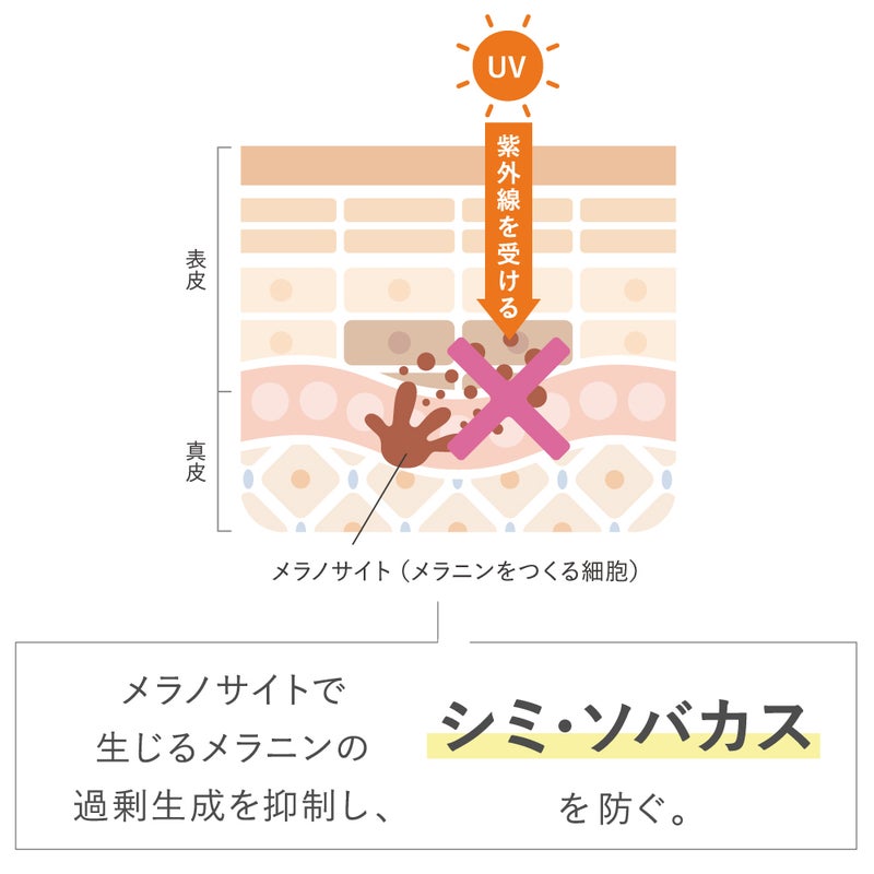 【限定】タイムシークレット 薬用デイエッセンスバーム サクララッシュの香り_07