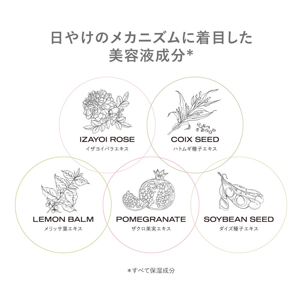 ザ・フラワーショップ_サンクリーム_06