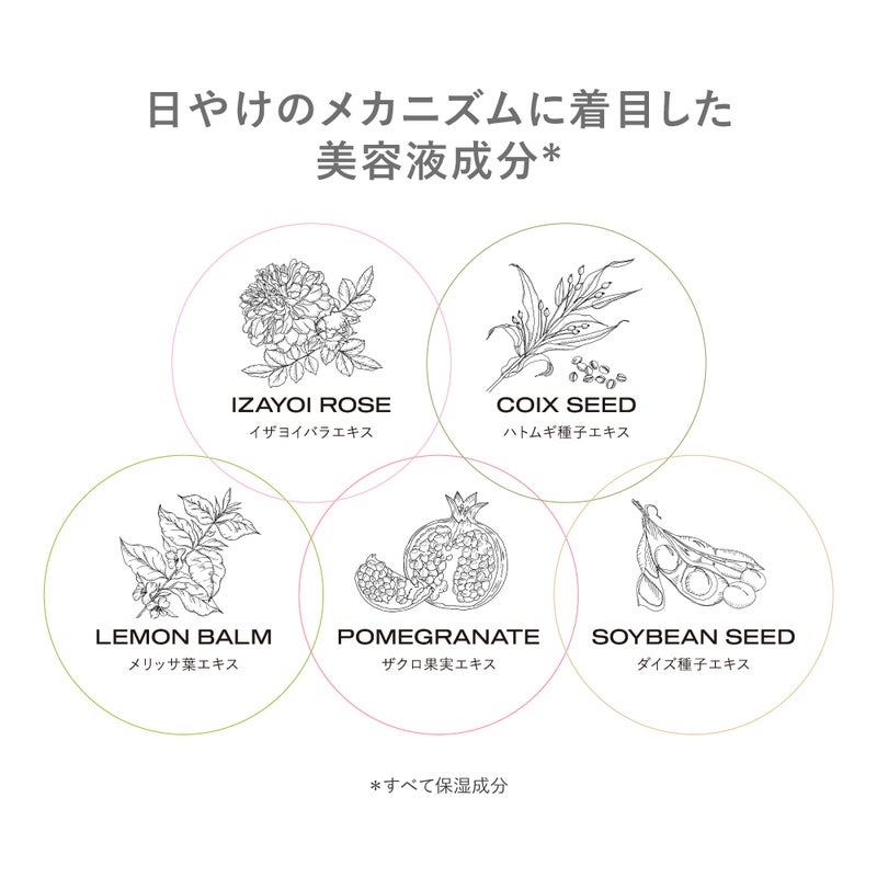 ザ・フラワーショップ_サンクリーム_06